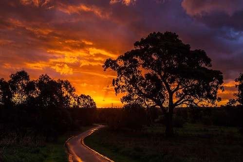 sunset cloud storm tree wet hail golden cloudy path melbourne