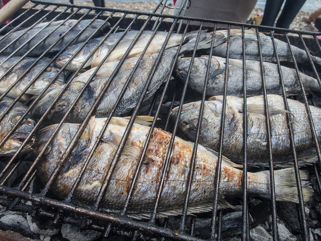 Fresh grilled fish