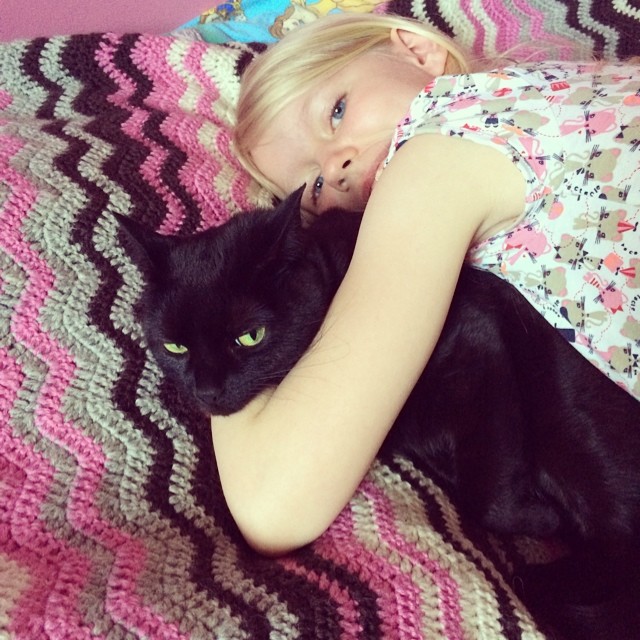 Cat hugs. The cat just woke up so it is not as unhappy as it looks like.