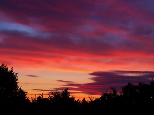 sunset vancouverwa beautifulsunset beautifulweather sunsetcolors colorfulsunset silhouetteoftrees silhouetteinthesunset vancouverwasunset sunsetinvancouverwa