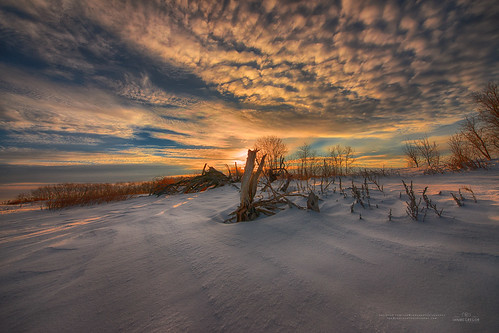morning trees winter snow canada beautiful beauty sunrise landscape ian dawn frozen nikon wideangle saskatchewan d800 mcgregor rokeby ianmcgregorphotographycom