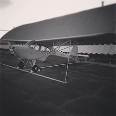 One of the busiest airplanes on the field, believe it or not, a Champ. #tailwheel