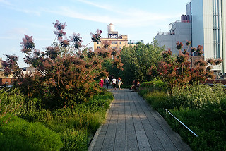 Highline - New York City