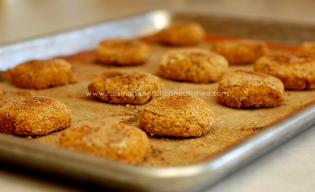 Chicken Nuggets :: Grain Free, Egg Free, Dairy Free, with Nut Free Option