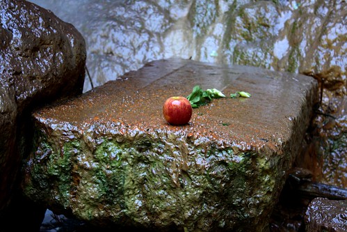 italy apple waterfall rocks italia roccia pomme mela cascata monterano