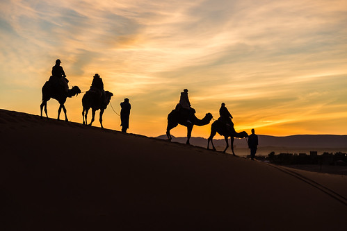 sunset people sahara animal landscape photography desert dune places equipment camel morocco marocco ergchebbi canonef24105mmf4lisusm hassilabied arabiancamel canoneos6d meknestafilalet