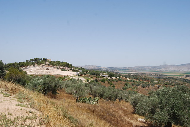 A la búsqueda de la piedra antigua. - Blogs de Israel - Acre-Zippori-Nazaret-Haifa (4)