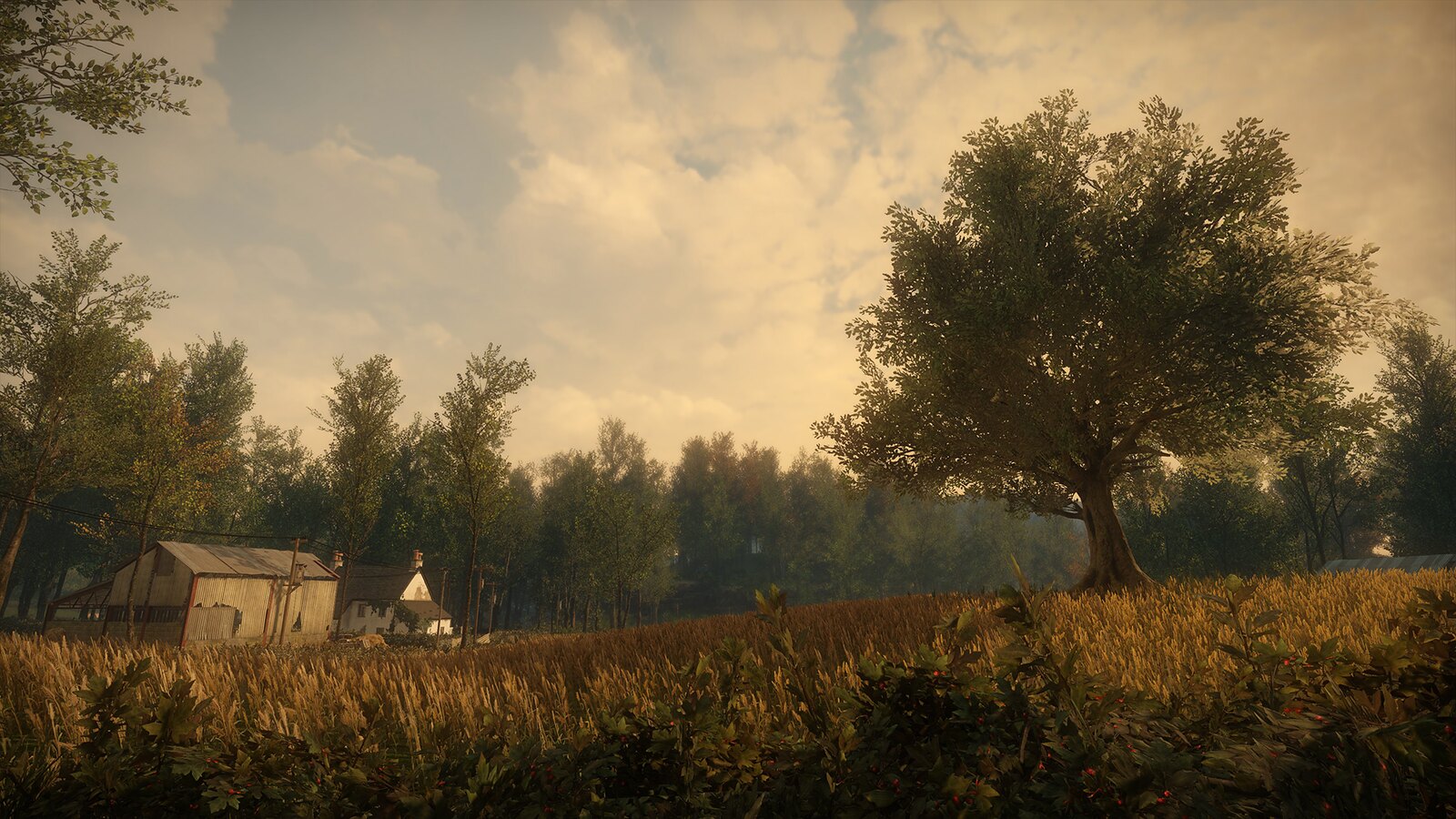 [PS4] Novo trailer do sumido Everybody’s Gone to the Rapture 14404710274_030ff2a462_h