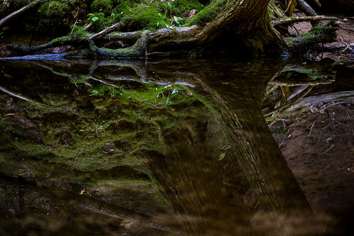 canada reflection stream novascotia ravine kentville fujixe2