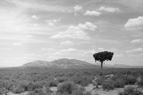 county zorki camera bw white mountain black tree film 50mm kodak tmax nevada rangefinder nv valley antelope lone 100 50 eureka 4k industar f35 tmx industar50