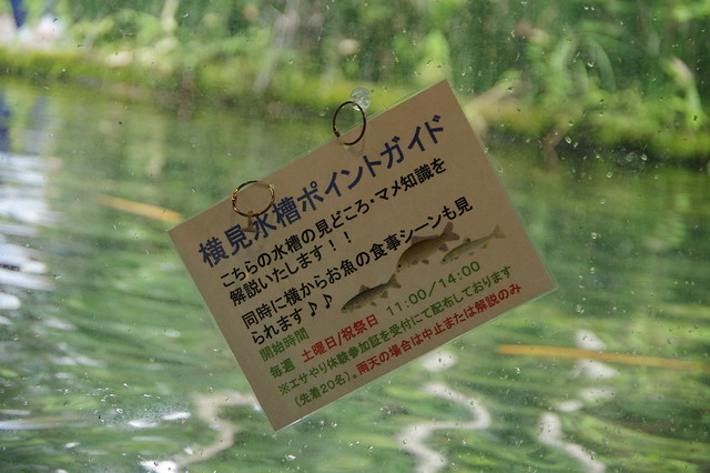 富士湧水の里水族館へ！_038