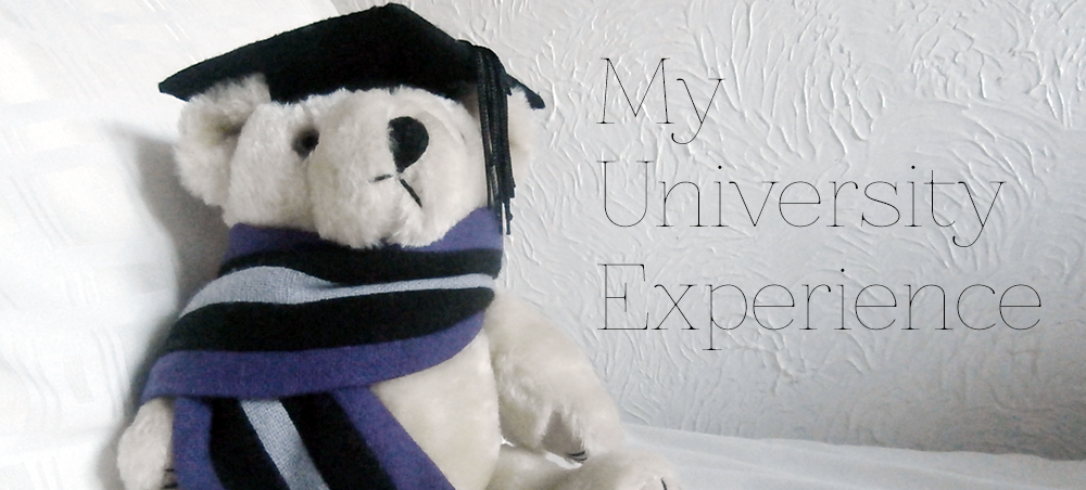 university-experience-header