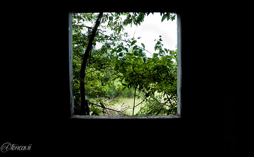 window texas country nikoncoolpixp100