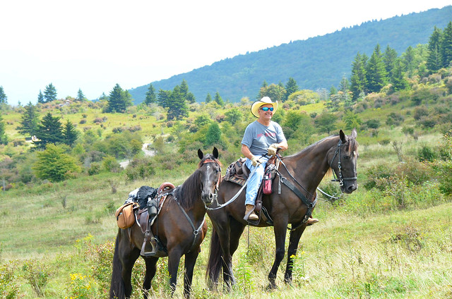 Trail riders, walkers and hikers love Grayson Highlands State Park
