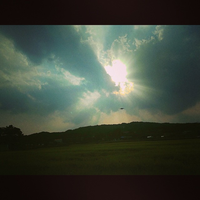 夕阳厚 #korea #incheon #cloud #sunset #sunshine #iphone #iphonography #tree