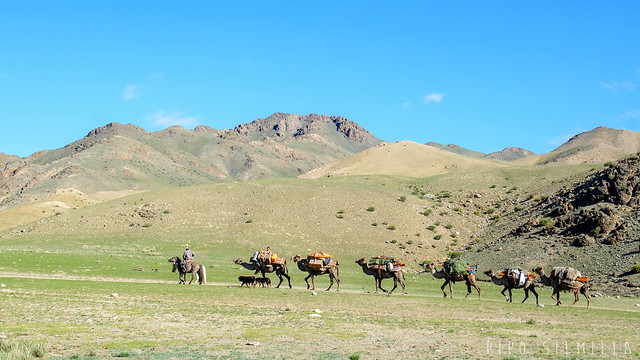 Mongolian vaellus