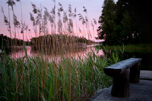 sunset bench sweden archipelago