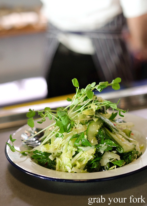 Cabbage, lettuce, cucumber and fennel salad at The Stinking Bishops, Newtown