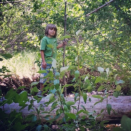 Little John on his fallen log #summer #boys #wild #tahoe #nature
