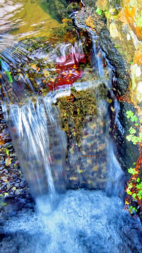 portrait mountain water beautiful canon indonesia waterfall pond stream pretty air fresh powershot koi indah gunung hdr sukabumi ikan kolam cantik segar sx50 saluran sx50hs canonpowershotsx50hs cimalati