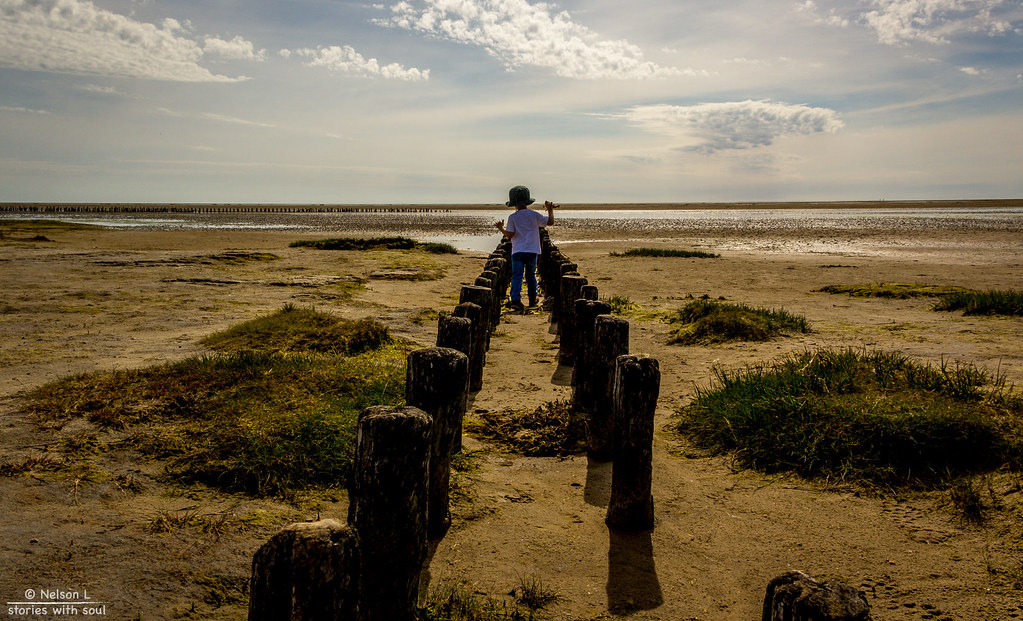 No mather how big the world is, we must choose a path of our own (Denmark #21 Mandø, Wadden Sea National Park)