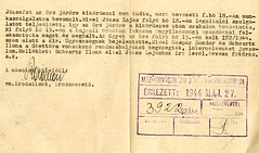 VI/7.g. Schwartz Ilona és társa internálására javaslat előterjesztése