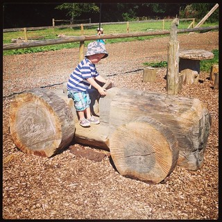 Getting him away from the tractor at #bucklandabbey #nationaltrust was not easy!