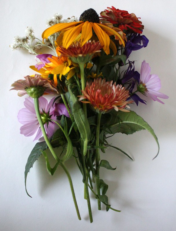 bouquet of cut flowers waiting to be pressed