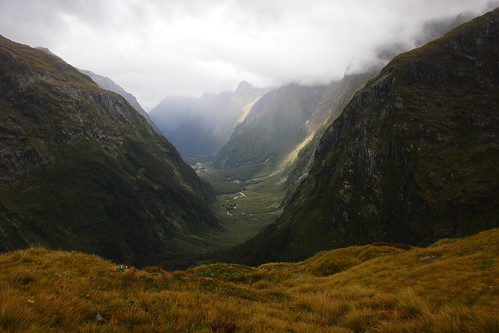 newzealand mist mountain landscape valley bushwalking southisland worldheritage milfordtrack