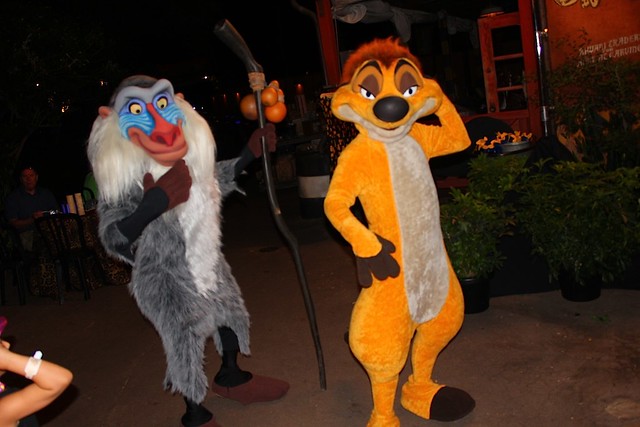 Harambe Nights at Disney's Animal Kingdom