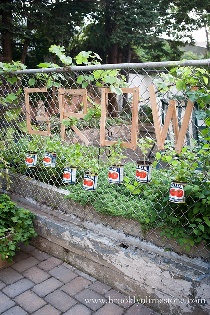 Grow Basil Chain Link Fence Garden | www.brooklynlimestone.com 