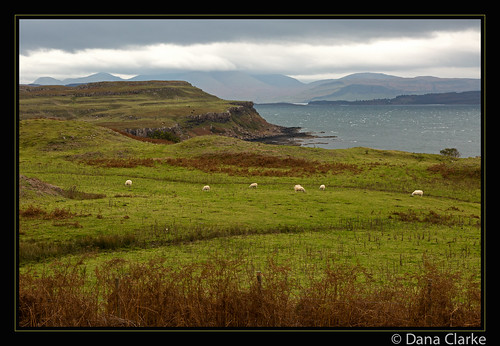 uk autumn heritage fall landscape island scotland unitedkingdom scenic isleofmull historical mull isle ancestory danagc