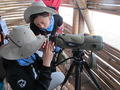 夏欣在嘉義布袋濕地，與志工用賞鳥望遠鏡觀察濕地生態。攝影：郭政佑