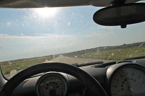 car bug nebraska windshield splat