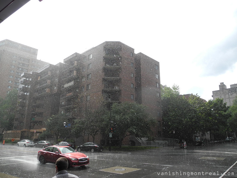 Photo of the Day : heavy downpour in Milton Park