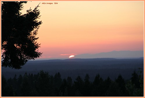 trees sunset canon washington colorful dusk rollinghills picmonkey:app=editor