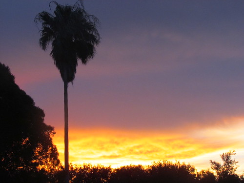 blue sunset sky clouds gold texas purple palmtrees riverbend texassunset