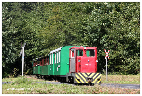 railroad train hungary rail railway trains bahn ungarn feldbahn schmalspurbahn waldbahn kisvasut forrestrailway