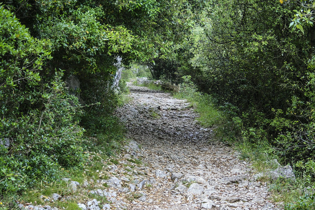 Ruta Monte Buciero