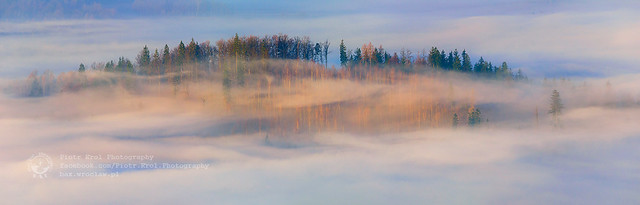 in the morning mists