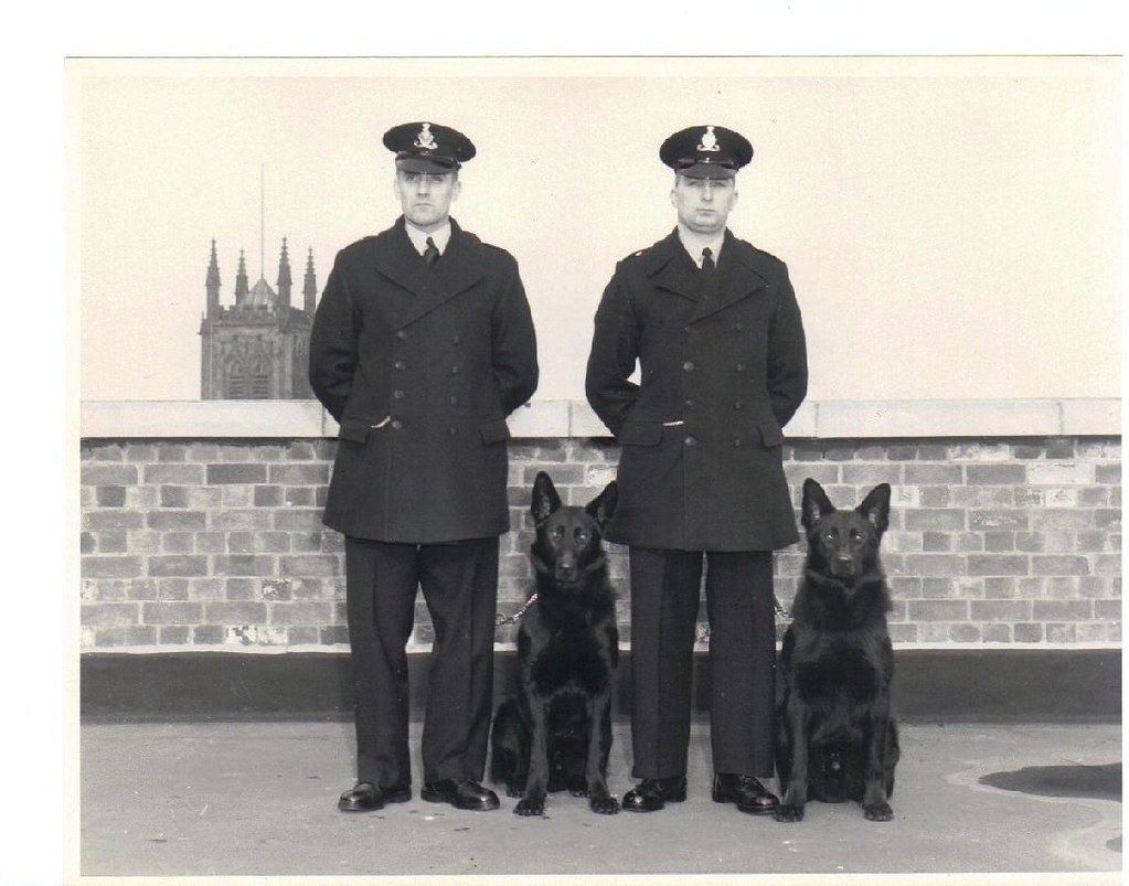 Police Dogs in Leicestershire 1965