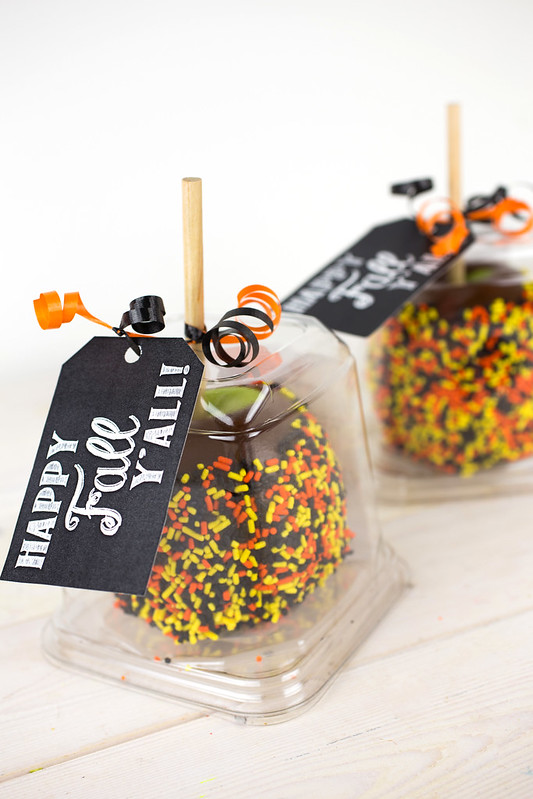 Caramel Apple Gift with Fall Printable Tags #MarketStreetTX