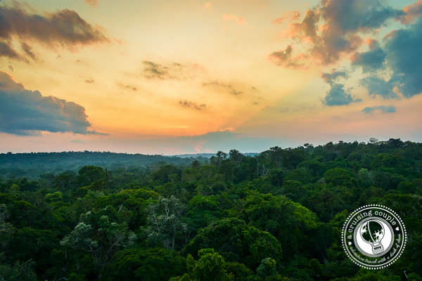 Sunrise over the Brazilian Amazon Jungle