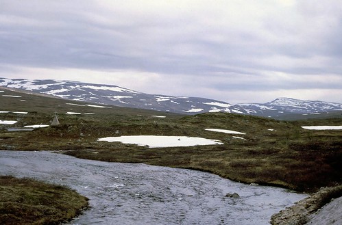 norway tundra arcticcircle norlandsbanen latitude6656north