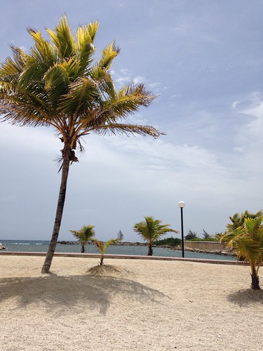 beach bluesky palmtree jamaica