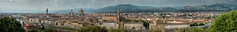 Panorama Florenz