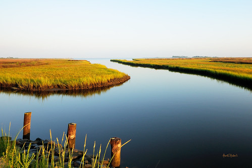 easternshore marsh chesapeakebay earlymorningsun sigma1020 leefilters nikond90 lee062stophardgrad
