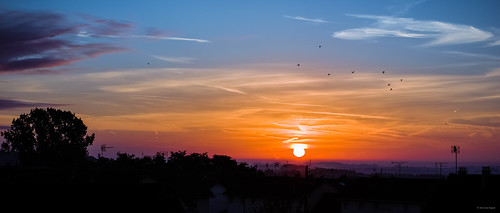 birds sunrise soleil couleurs horizon ciel paysage ville oiseaux lever picardie toits saintquentin louisengival pentaxk3 pentaxsmcda55mm114sdm format2351
