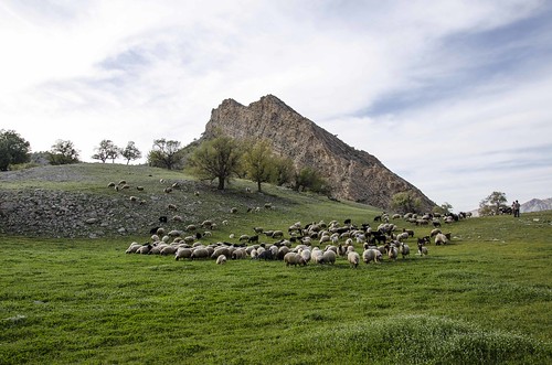 sky mountain green nature colors landscape spring day sheep dynamic iran cloudy clear ilam