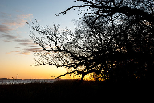 winter sunset sea cloud silhouette coast seaside baltic bäume sonnenaufgang ostsee baum küste vilm natürlich schif naturnah